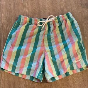 PacSun Multicolor Striped Shorts